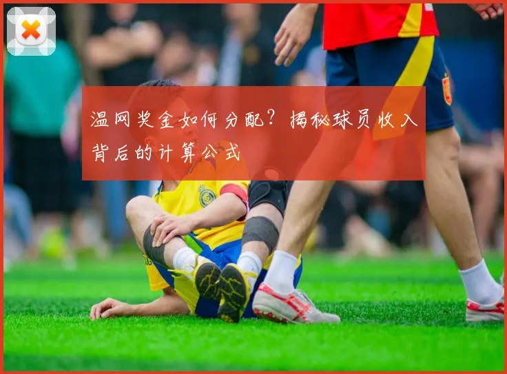 温网奖金如何分配?揭秘球员收入背后的计算公式