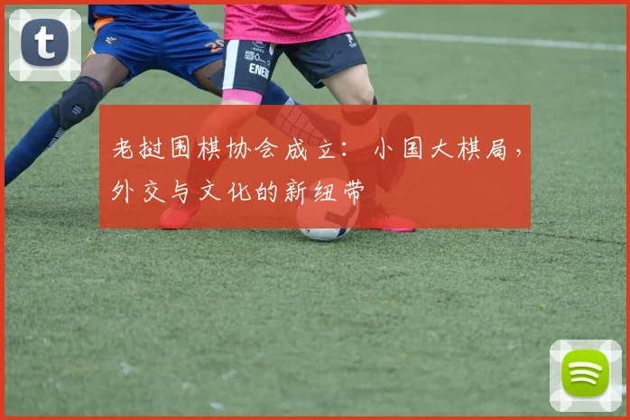 老挝围棋协会成立:小国大棋局,外交与文化的新纽带